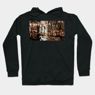 The Beech Tree Hoodie